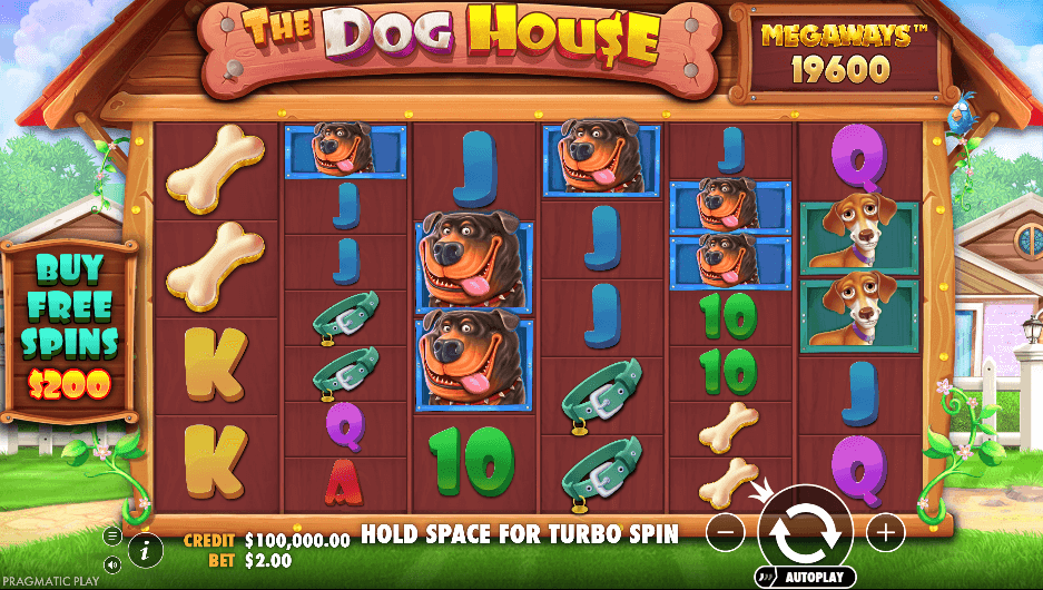 The Dog House Megaways (Pragmatic Play) Image 1